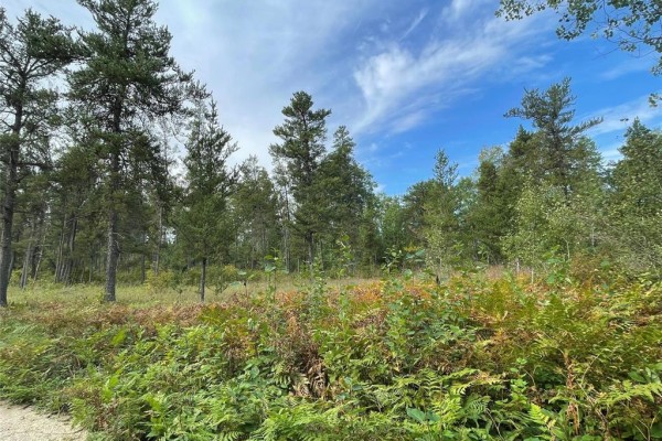 0 Pr203 Road, Woodridge, MB R0A2N0 Photo 5