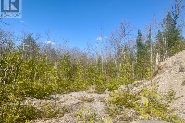 0 Pt Lt 32 County Road 49 Road, Trent Lakes, ON K0M1A0 Photo 5