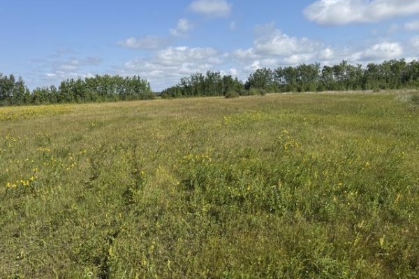 0 Pth 59 Highway, St Clements, MB R0E1C0 Photo 5