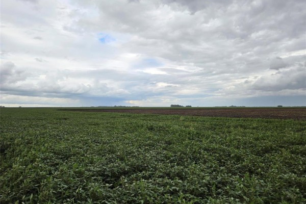 0 Rd 69 N & Rd 32w  Se 22-12-6-w Road, Portage La Prairie, MB R1N3P1 Photo 5