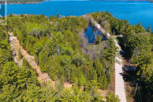 0 Red Ash Trail, Whitewater Region, ON K0J2L0 Photo 5
