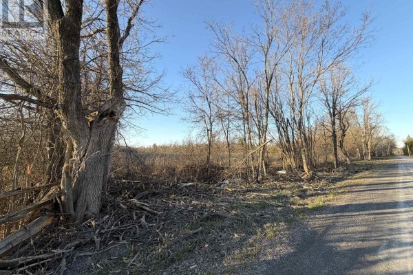 0 Reid Settlement Road, Centre Hastings, ON K0K2K0 Photo 4