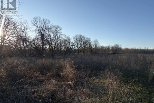 0 Reid Settlement Road, Centre Hastings, ON K0K2K0 Photo 5
