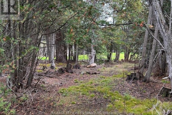 0 Rocksprings Road, Elizabethtown Kitley, ON K0G1R0 Photo 4