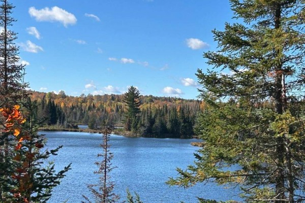 0 Rosien Road, Bonnechere Valley, ON K0J1T0 Photo 4