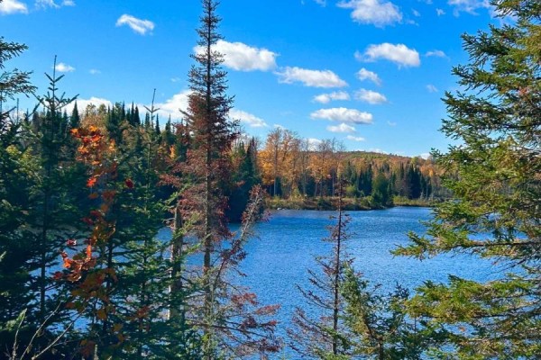 0 Rosien Road, Bonnechere Valley, ON K0J1T0 Photo 5