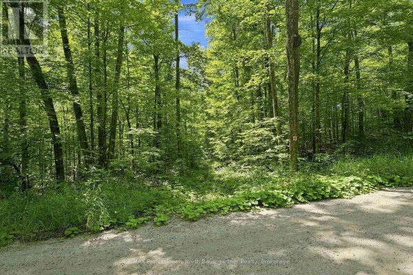 0 Salerno Lake Road, Highlands East, ON K0M1S0 Photo 5