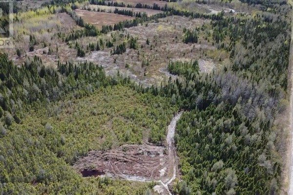 0 Sandy Point Road, Norris Arm, NL A0G3M0 Photo 4