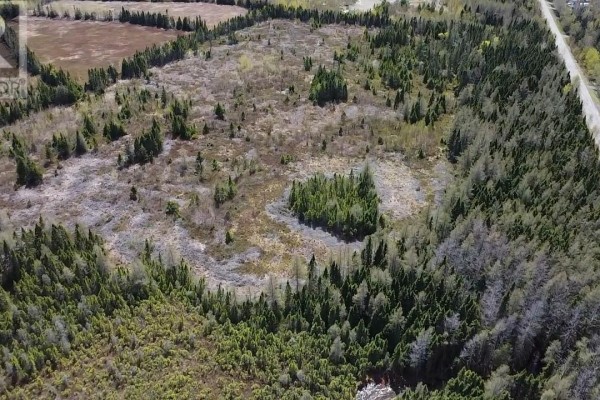 0 Sandy Point Road, Norris Arm, NL A0G3M0 Photo 5