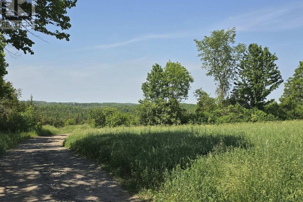 0 Shannonville Road, Tyendinaga, ON K0K1V0 Photo 4