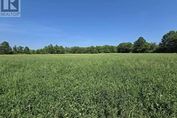 0 Shannonville Road, Tyendinaga, ON K0K1V0 Photo 5
