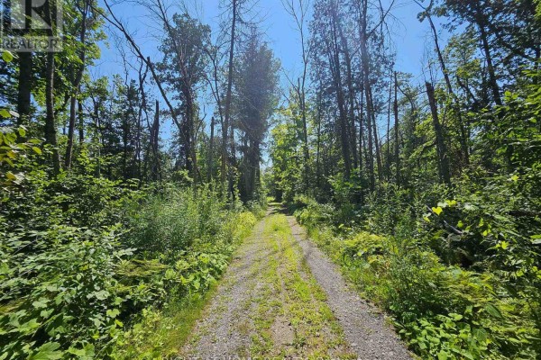 0 Shanval Lane, Marmora And Lake, ON K0K2M0 Photo 4