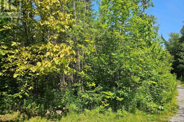0 Shanval Lane, Marmora And Lake, ON K0K2M0 Photo 5
