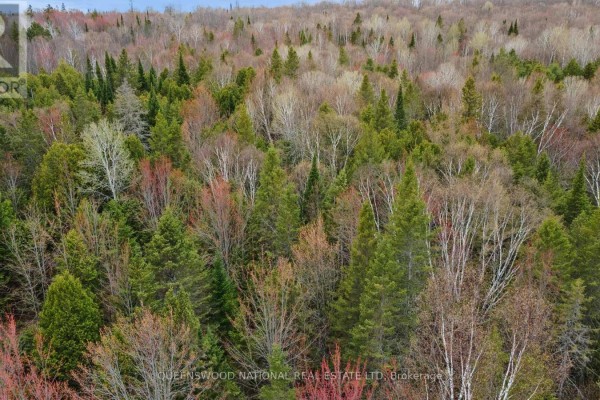 0 Siberia Road, Madawaska Valley, ON K0J1B0 Photo 2
