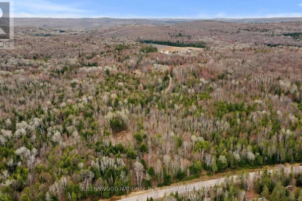 0 Siberia Road, Madawaska Valley, ON K0J1B0 Photo 4