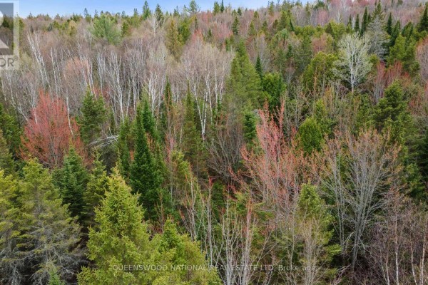 0 Siberia Road, Madawaska Valley, ON K0J1B0 Photo 5