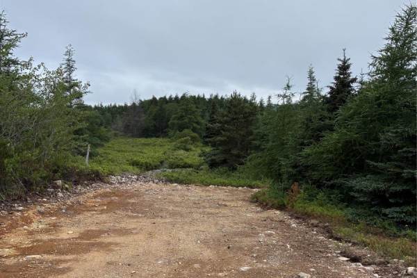 0 Sod Lane, Bay Roberts, NL A0A1W0 Photo 4