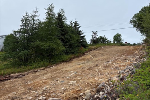 0 Sod Lane, Bay Roberts, NL A0A1W0 Photo 5