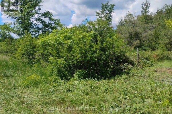 Lot 78 South Mountain Road, Kawartha Lakes, ON K0M2B0 Photo 4