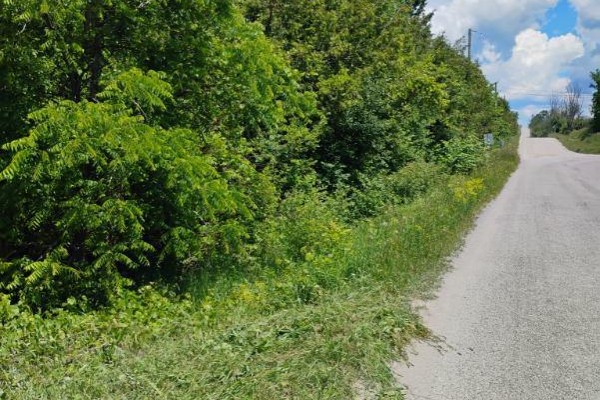 Lot 78 South Mountain Road, Kawartha Lakes, ON K0M2B0 Photo 5