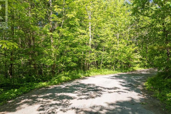 0 Southwood Road, Gravenhurst, ON, photo 2