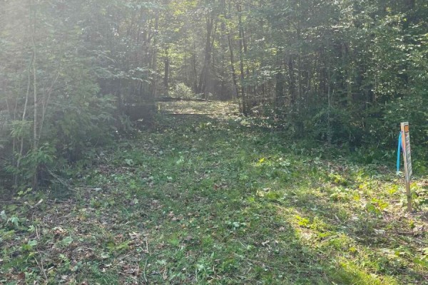 0 Stoney Road, Ryerson, ON P0A1C0 Photo 3