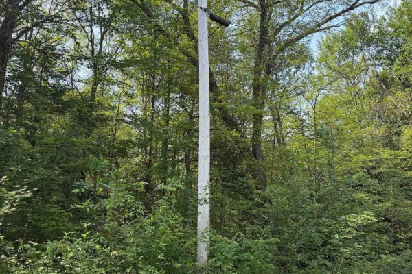 0 Stoney Road, Ryerson, ON P0A1C0 Photo 5