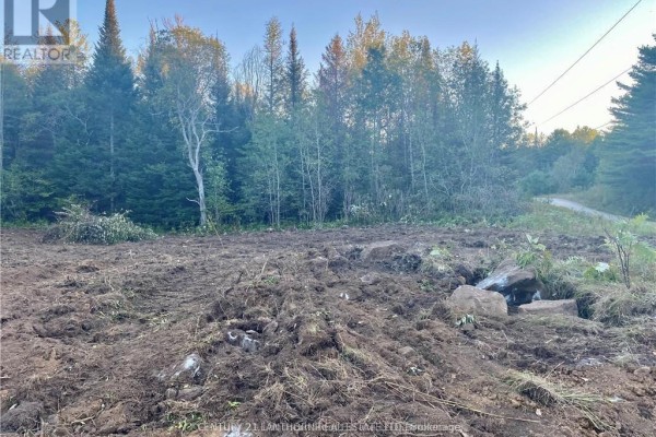 0 Stoney Settlement Road, Tudor And Cashel, ON, photo 3