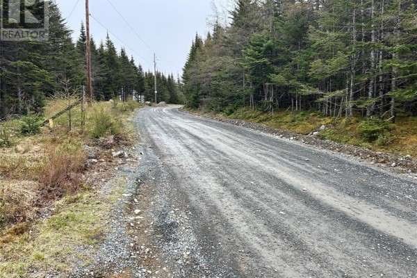 0 Strayaway Road, Blaketown, NL A0B1C0 Photo 4