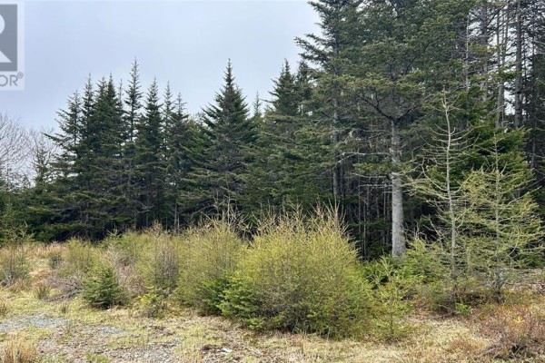 0 Strayaway Road, Blaketown, NL A0B1C0 Photo 5