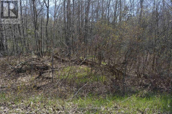 0 Sucie Road, Highlands East, ON K0L2A0 Photo 2