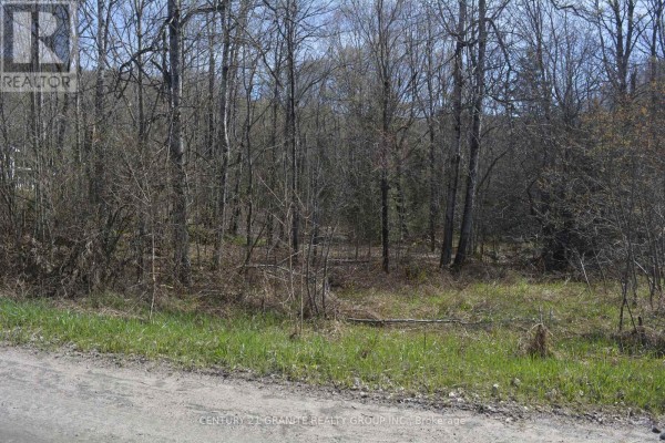 0 Sucie Road, Highlands East, ON K0L2A0 Photo 3