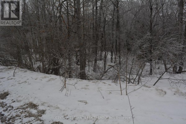 0 Sucie Road, Highlands East, ON K0L2A0 Photo 4