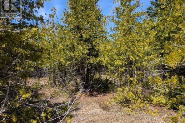 0 Sutter Road, Northern Bruce Peninsula, ON N0H2T0 Photo 2