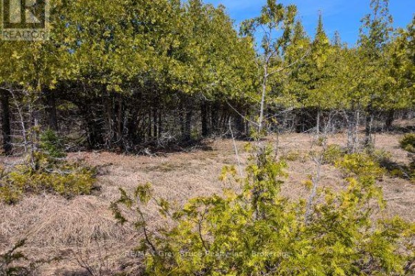 0 Sutter Road, Northern Bruce Peninsula, ON N0H2T0 Photo 3