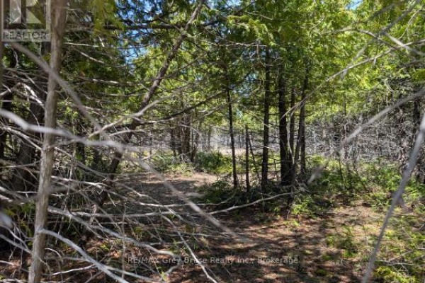 0 Sutter Road, Northern Bruce Peninsula, ON N0H2T0 Photo 4