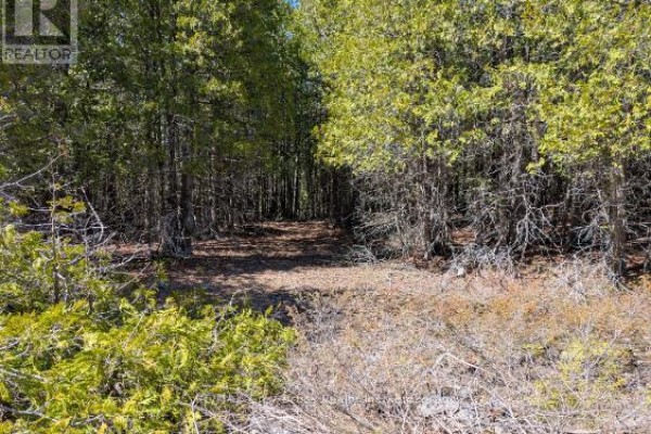 0 Sutter Road, Northern Bruce Peninsula, ON N0H2T0 Photo 5