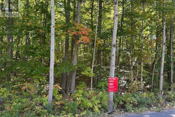 0 Tally Ho Winter Park Road, Lake Of Bays, ON, photo 2