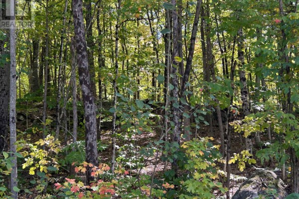 0 Tally Ho Winter Park Road, Lake Of Bays, ON, photo 3