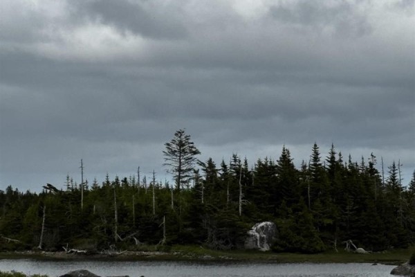 0 Tor Bay Road, Torbay, NS B0H1T0 Photo 3