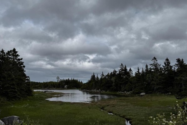 0 Tor Bay Road, Torbay, NS B0H1T0 Photo 5