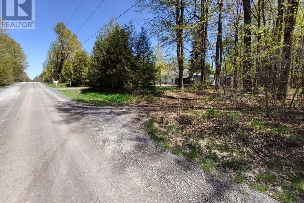 Intersection of dirt road with trees, showing nearby property and greenery. - 0 Totem Ranch Road, Edwardsburgh/cardinal