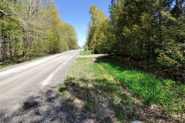 Dirt road bordered by trees, with a view of the open area ahead. - 0 Totem Ranch Road, Edwardsburgh/cardinal