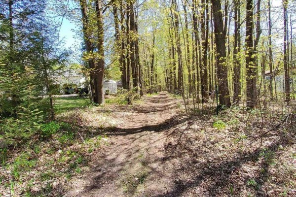 Path through wooded area with sunlight filtering through trees, leading to nearby property. - 0 Totem Ranch Road, Edwardsburgh/cardinal