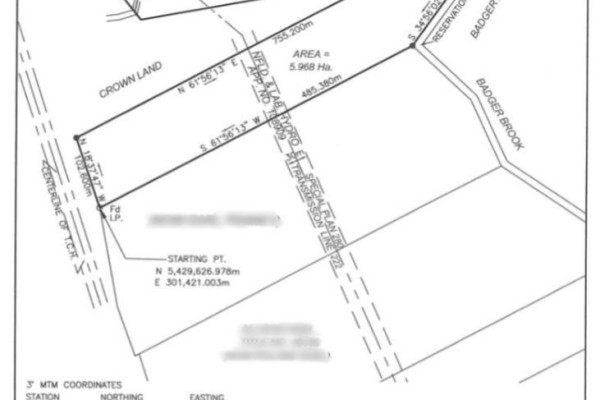 Survey map of a parcel of land with lot lines, dimensions, and surrounding features labeled, including Crown land and Badger Brook. - 0 Trans Canada Highway, Badger