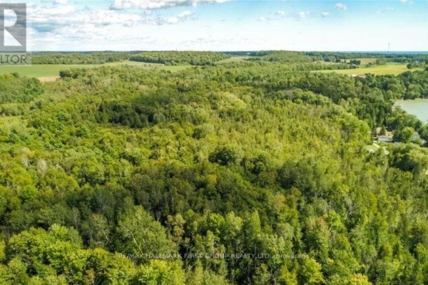 0 Trenear Road N, Cramahe, ON, photo 3