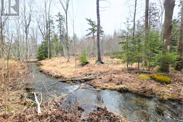 0 Upper Leitches Creek Road, Cape Breton, NS B2A1Z2 Photo 2