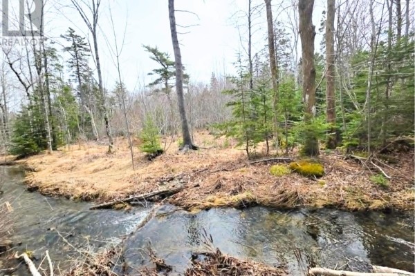 0 Upper Leitches Creek Road, Cape Breton, NS B2A1Z2 Photo 4