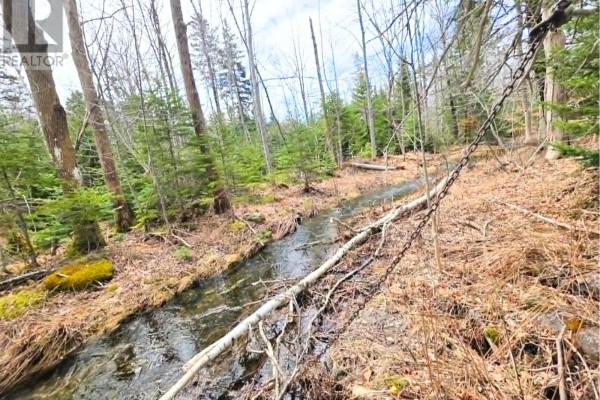 0 Upper Leitches Creek Road, Cape Breton, NS B2A1Z2 Photo 5