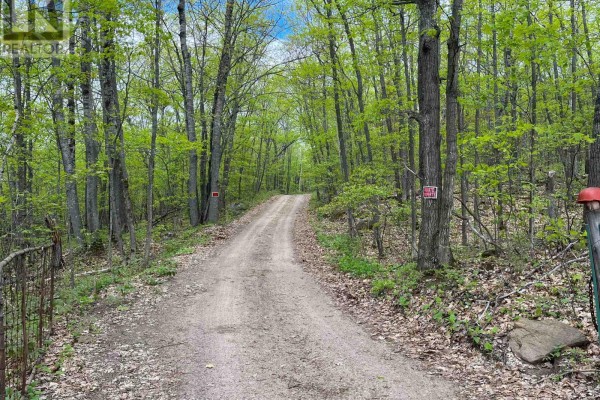 0 Wales Drive, Madawaska Valley, ON, photo 3